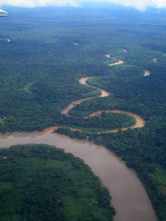 Forêt Amazonienne, Peru / Blaise Fiedler