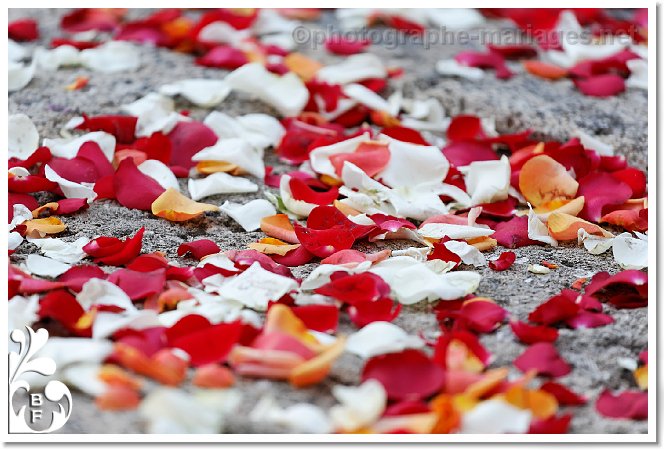 Petales de rose au sol apres la ceremonie