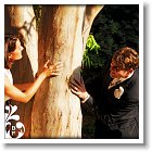 Couple de maries jouant autous d'un eucalyptus a  Mougins le Park