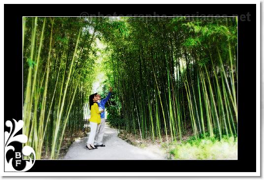 Le bois de bambou de la villa Rothschild